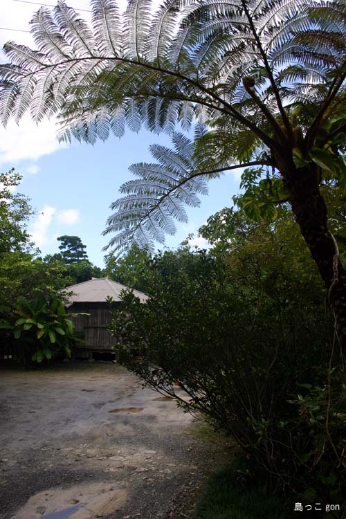 e0062643_12574172.jpg