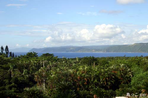 e0062643_13591573.jpg