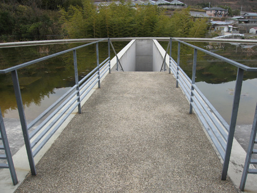 e0040345_9343486.jpg
