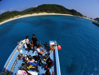 d0065247_2031314.jpg