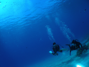 d0065247_2031326.jpg