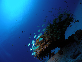d0065247_20315636.jpg