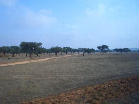 e0126148_20481995.jpg