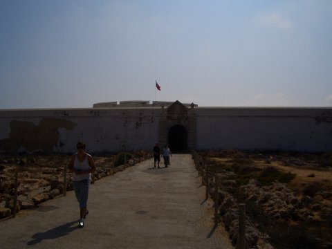 e0126148_2145435.jpg