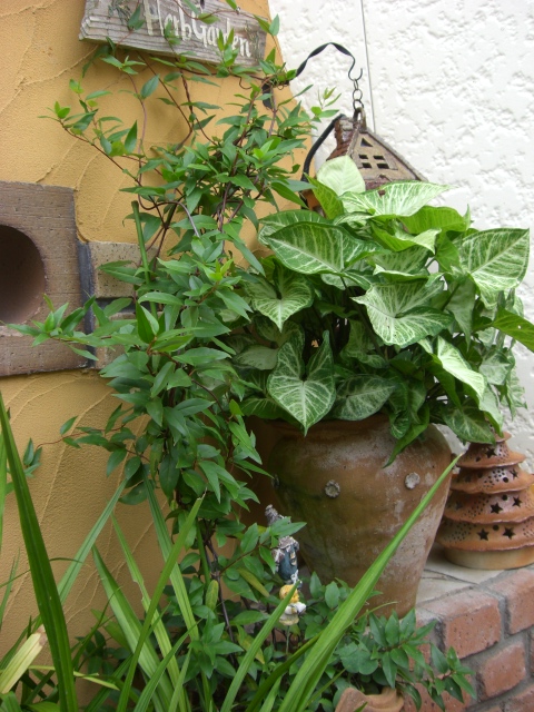 c0100049_1039940.jpg