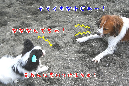 d0013149_110621.jpg