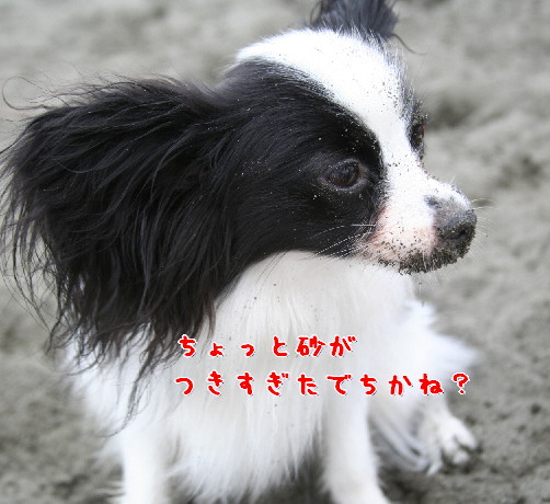 d0013149_1474155.jpg