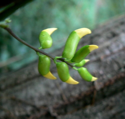 d0091754_2341710.jpg