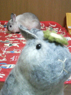 f0104057_2015886.jpg