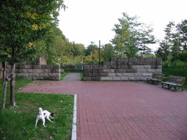 f0122259_2138518.jpg