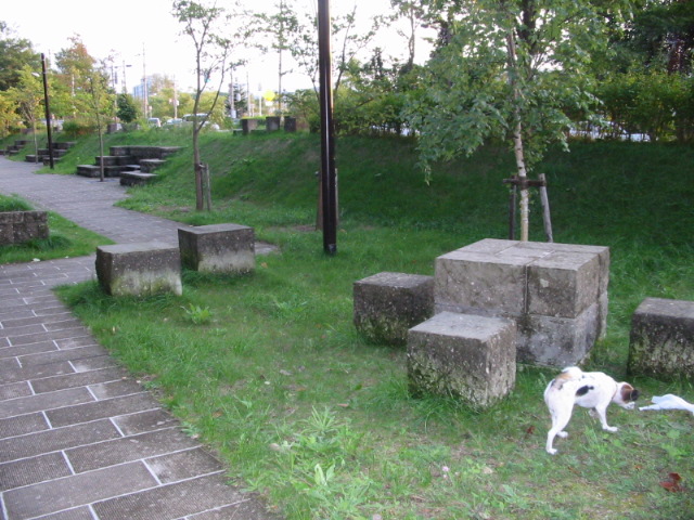 f0122259_21404320.jpg