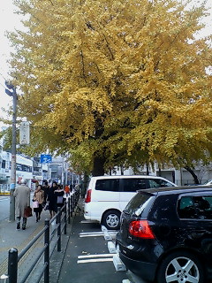 f0020662_13201056.jpg
