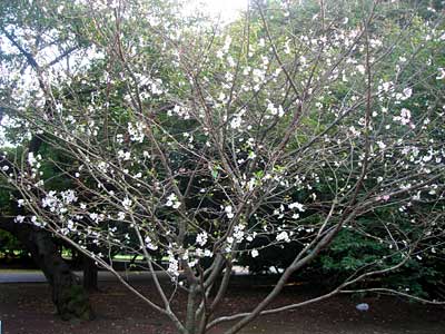 e0097770_2225844.jpg