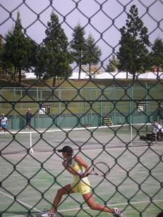 d0129083_172770.jpg