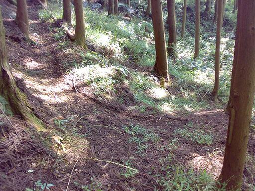 e0070286_1174075.jpg