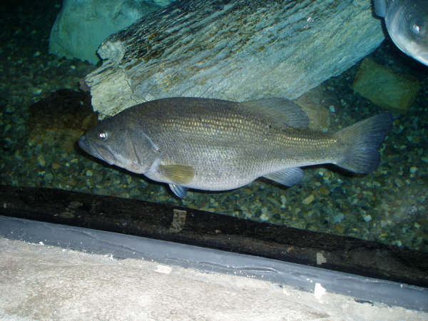 f0024887_10194426.jpg