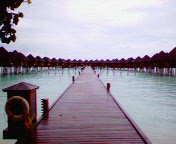 f0005891_20311787.jpg