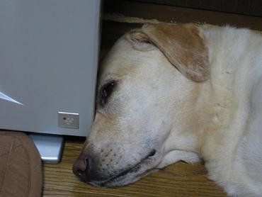 c0028792_21185313.jpg