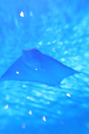 c0044199_235161.jpg