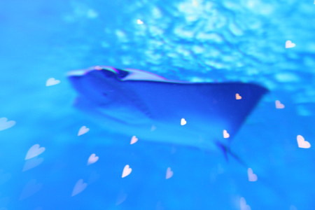 c0044199_2355713.jpg