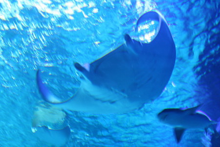 c0044199_235577.jpg