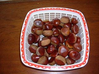 c0125501_1521935.jpg