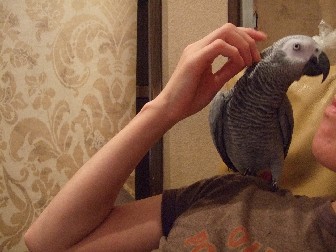 c0133013_1094589.jpg