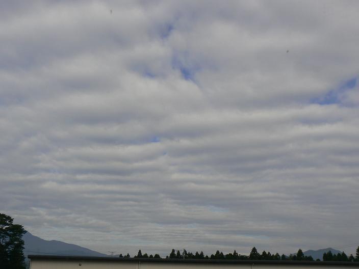 c0086014_21321525.jpg