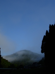 c0044819_832698.jpg