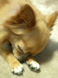 c0049919_0332639.jpg