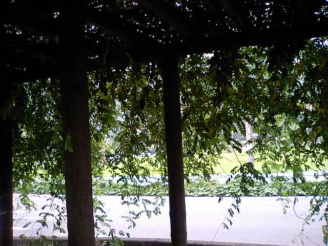 e0123920_10414073.jpg