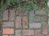 f0079722_2185966.jpg