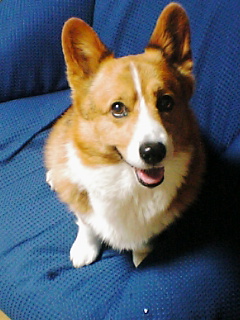 c0020526_21441461.jpg