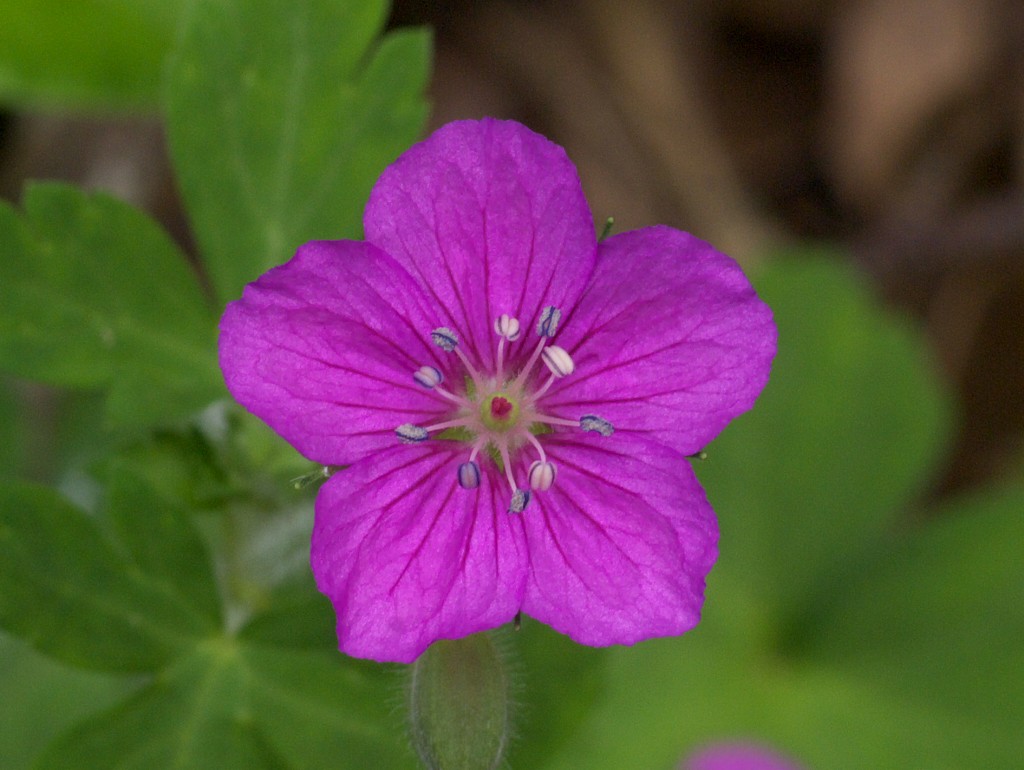 d0053930_64964.jpg