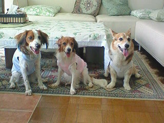 c0134833_0165254.jpg