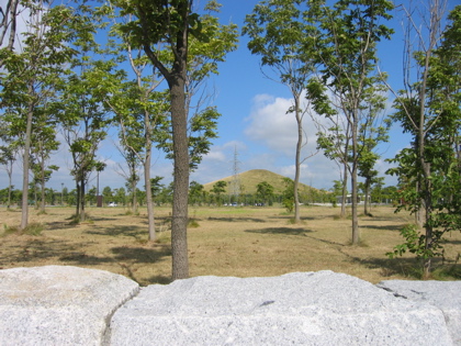 d0085939_22545731.jpg