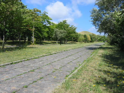 d0085939_22551818.jpg
