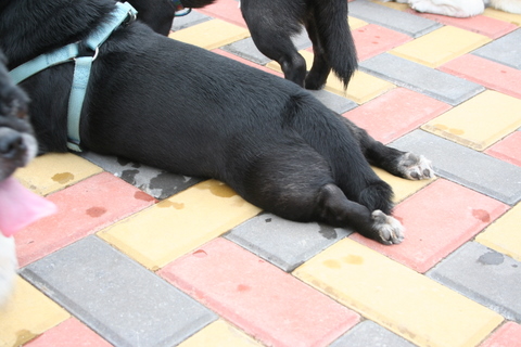 e0018143_3543840.jpg