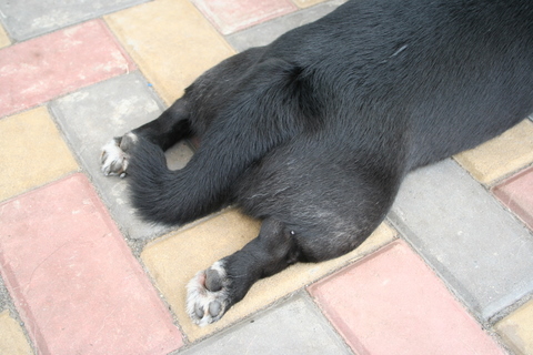 e0018143_3552770.jpg