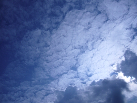 c0122445_10221232.jpg