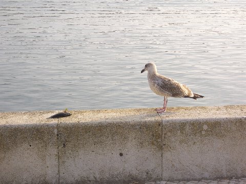 e0126148_21184433.jpg
