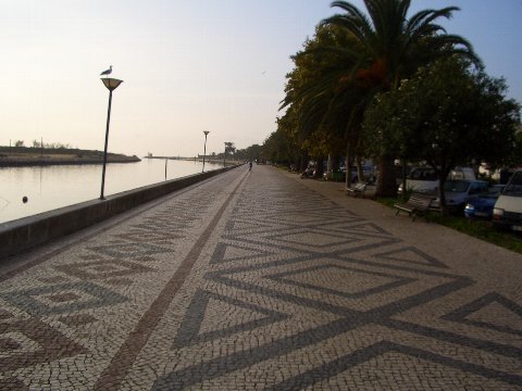 e0126148_2118692.jpg