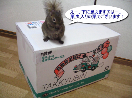 a0015164_1314490.jpg