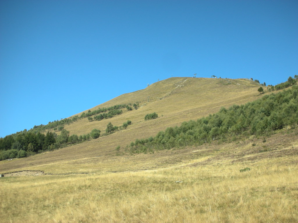 b0110467_1747179.jpg