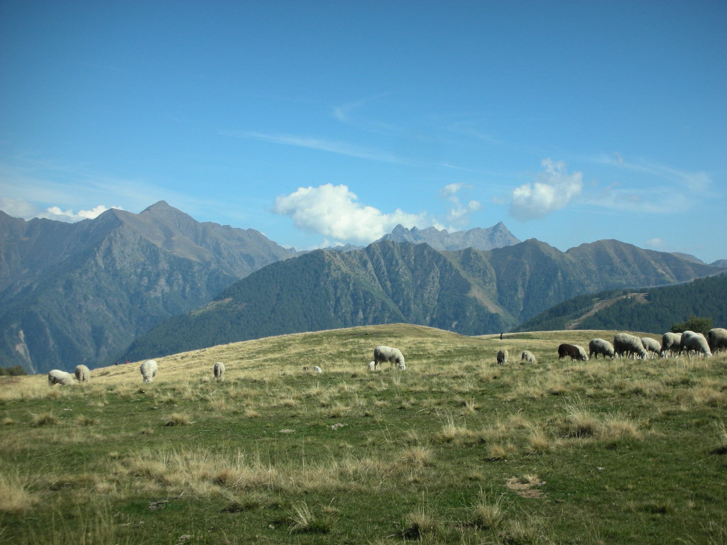 b0110467_17494942.jpg