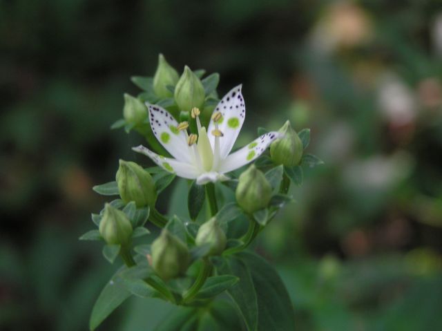 c0042869_1937943.jpg