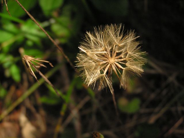 c0042869_19434884.jpg