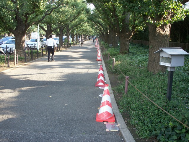 e0078069_22424445.jpg