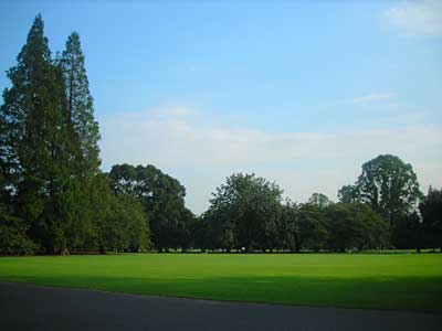 e0097770_20355438.jpg
