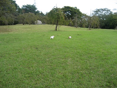 e0106372_15244912.jpg